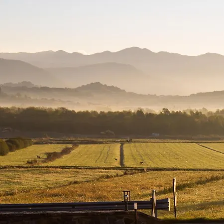 Cruna Di Subida Wine
