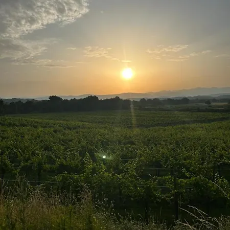 Cruna Di Subida Wine Lantgård Cormòns