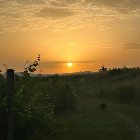 Farmház Cruna Di Subida Wine *