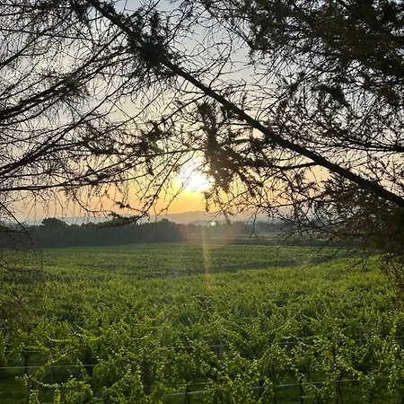 Lantgård Cruna Di Subida Wine Cormòns