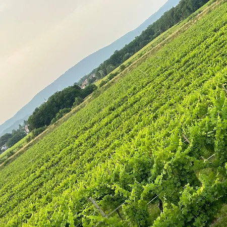 Cruna Di Subida Wine Lantgård Cormòns